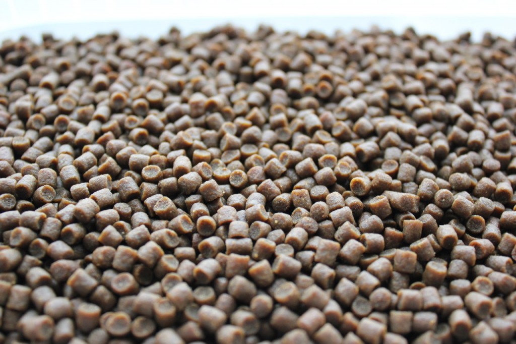 pellets-1024x682